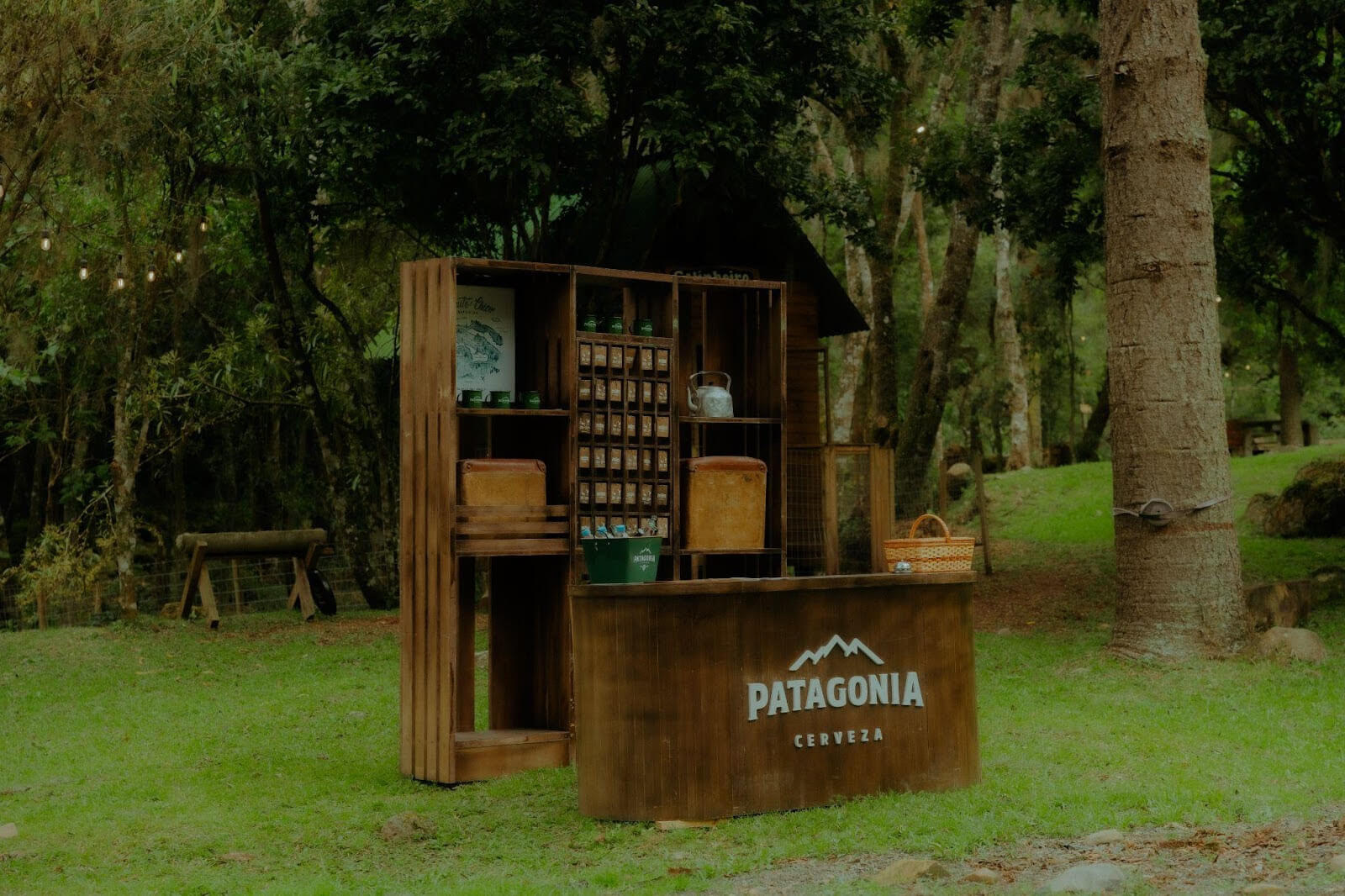 Cerveza Patagonia 