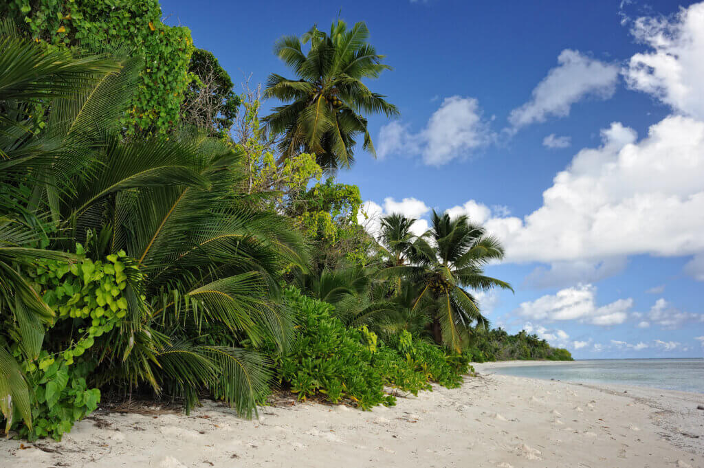 A paradisíaca Platte Island, em Seychelles, é elevada a um novo nível de consciência