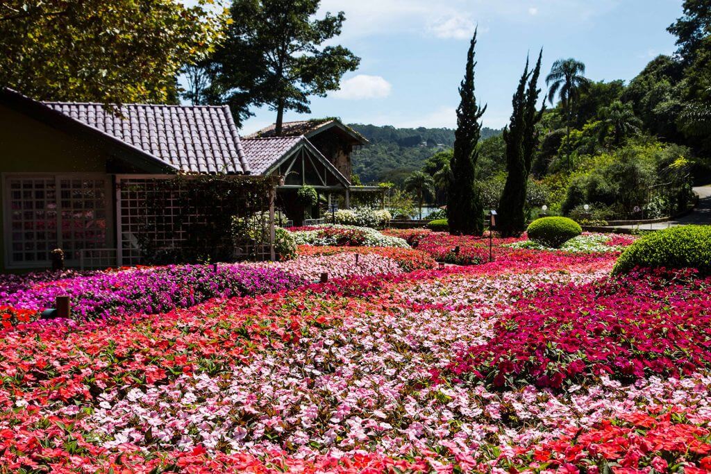 Unique Garden