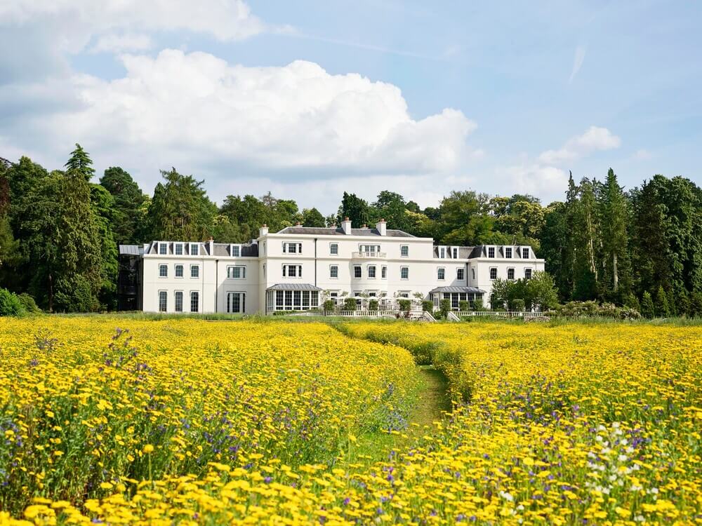 Dorchester Collection