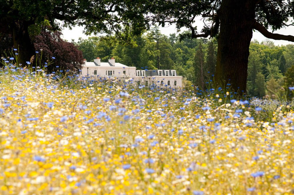 Dorchester Collection - Coworth Park