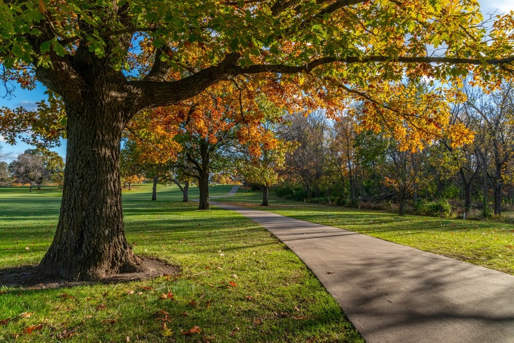 Polk,County,Iowa