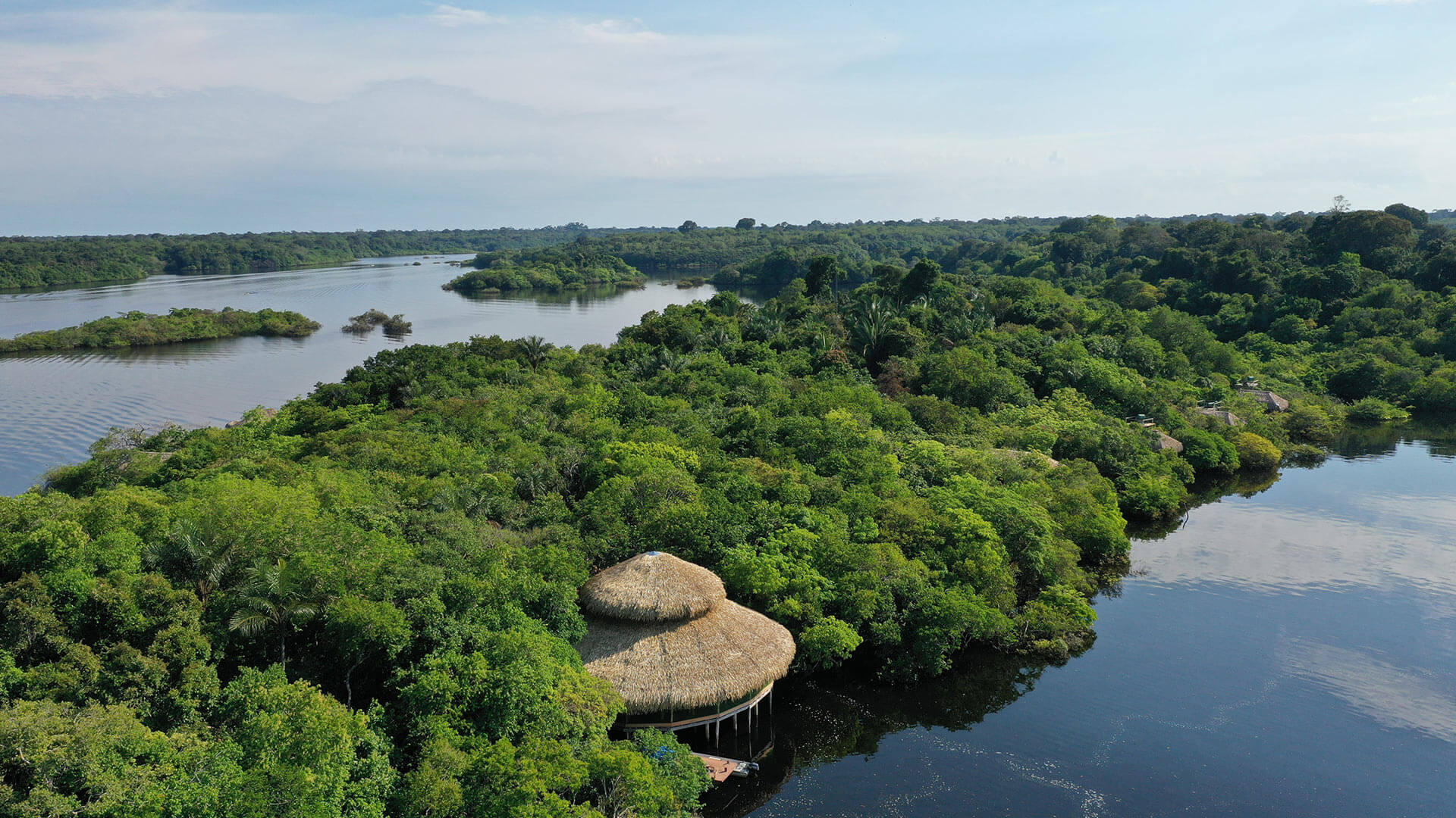 Amazônia: uma imersão profunda dentro da maior floresta tropical do mundo