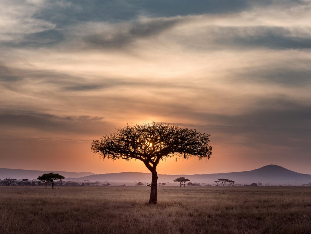 a Singular Luxury Travel, agência boutique de viagens de luxo e especialistas em roteiros customizados, selecionou 5 destinos luxuosos que unem romance, descobertas e belíssimas paisagens para casais apaixonados celebrarem