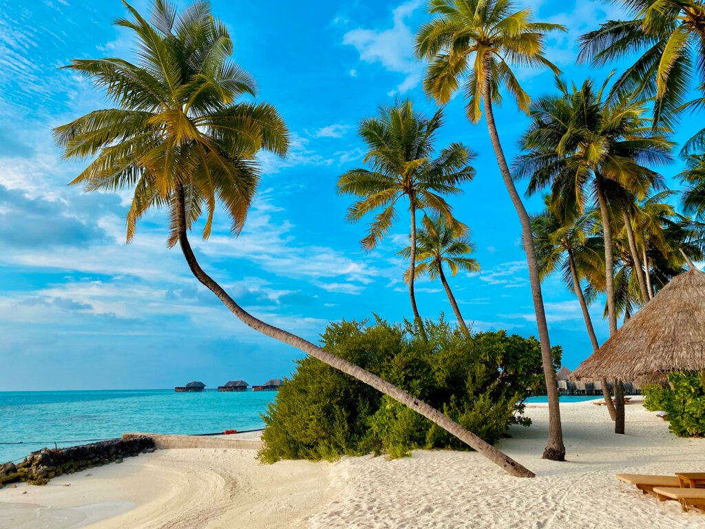 a Singular Luxury Travel, agência boutique de viagens de luxo e especialistas em roteiros customizados, selecionou 5 destinos luxuosos que unem romance, descobertas e belíssimas paisagens para casais apaixonados celebrarem