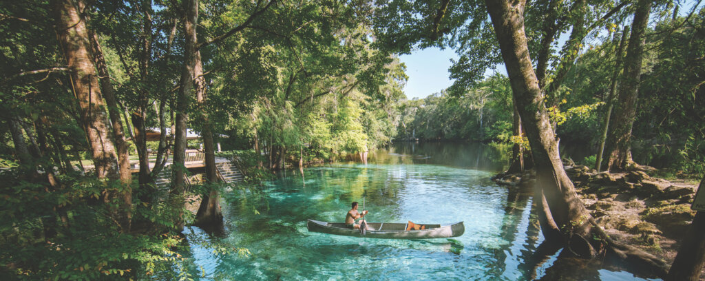 Escape para a Flórida: um estado de ser