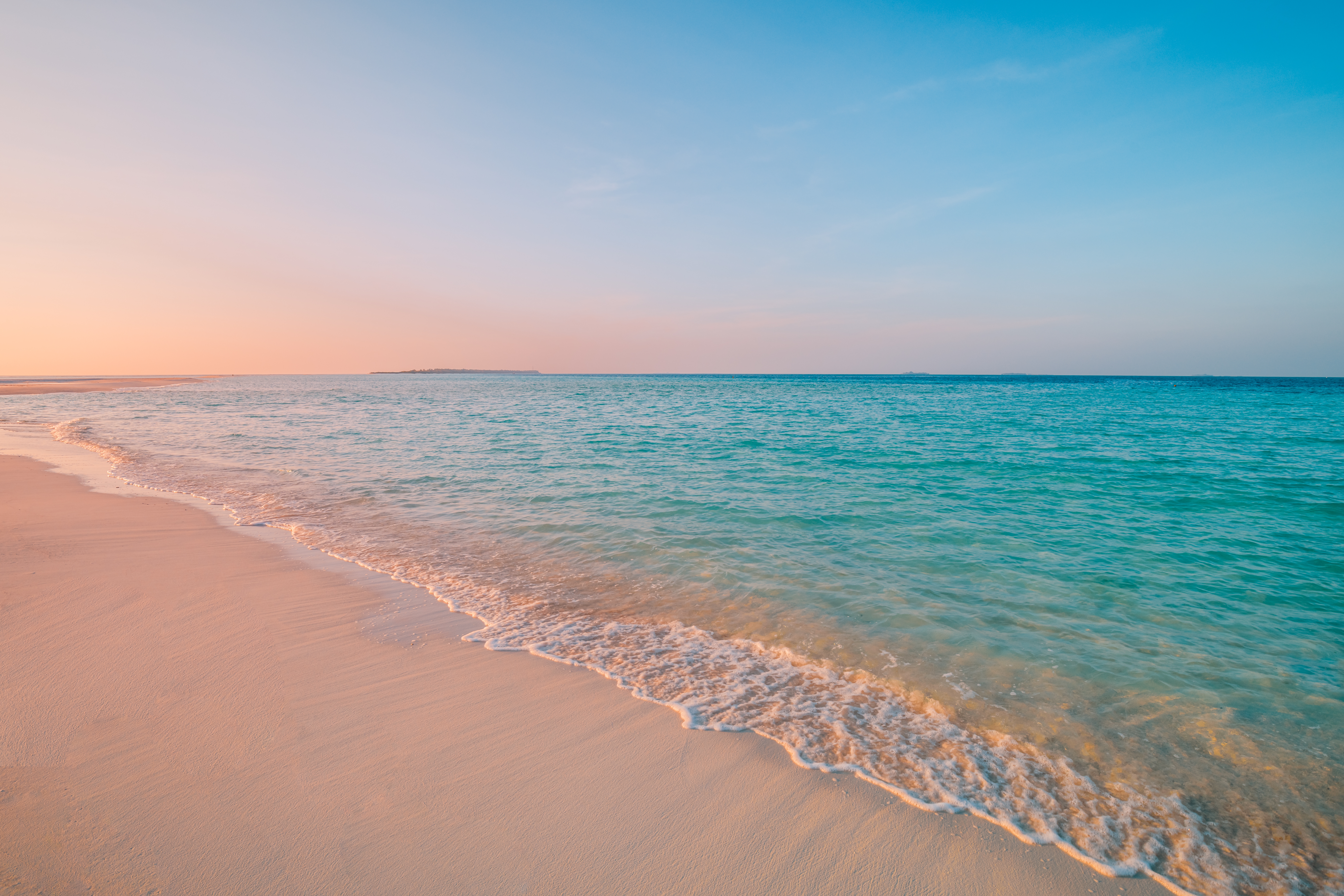 Escape para a Flórida: um estado de ser